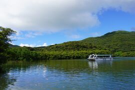 【やえやま離島巡りの旅③】西表島と由布島へ☆マングローブクルーズと水牛車