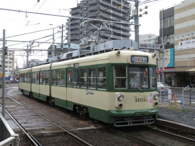 毎年夏は「気になる列車」シリーズ。たしかに実物の列車も気になるのですが、最近はホームに残るペンキの跡も気になっています。台風がやってきたので前日の夕方から距離を稼ぐ作戦にしたため、直前で旅程をだいぶ変更しました。最近話題の列車たちを無事に追いかけることができたのでしょうか。内容を忘れないよう総集編を先に上げています。<br /><br />https://4travel.jp/travelogue/11846264<br /><br />そんなに取れない平日休みは、ぜひ平日にしかできないことを。お目当ての電車を見ることができたのでしょうか。<br /><br />きっぷ：青春１８きっぷ＋北陸おでかけtabiwaパス<br />旅程概要<br />08.08：西熊本～防府<br />08.09：防府～西広島～大阪～清洲～富士<br />08.10：富士～洗馬～松本～南松本～東三条～直江津<br />08.11：直江津～松任～糸魚川～市振～糸魚川～金沢～南彦根<br />08.12：南彦根～新今宮～大阪～倉敷～西熊本