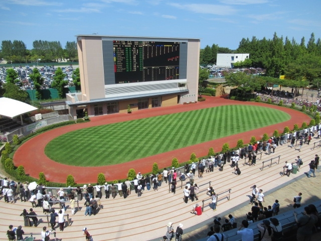 川崎から青春18切符を利用しグリーン車で高崎へそして新潟・燕三条で宿泊し、翌日新潟競馬を楽しみ秋田への旅