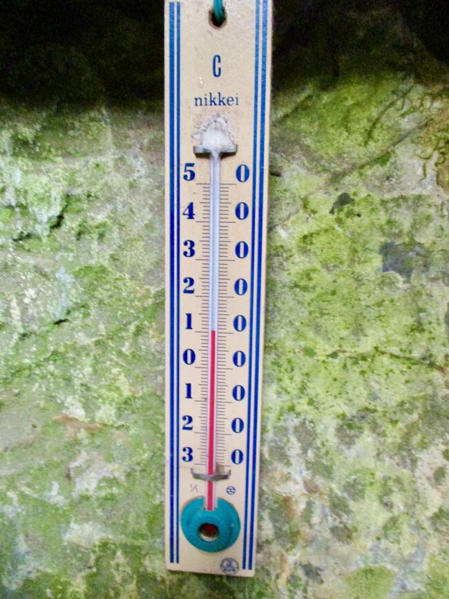 2023年は9月になっても暑いので、都内一涼しい所に行こうと思い立ち、奥多摩日原鍾乳洞に行くことにした。平均気温は一年中11度ですが、涼しいのは洞内だけ、わずか40分だった。久々に青梅線を利用し、折角なので、帰りに鳩ノ巣渓谷にも立ち寄った。