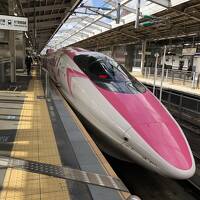 2021年11月　西日本鉄道ひとり旅(２)