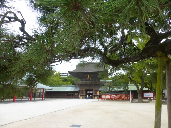 所要で福岡市の貝塚駅エリアに行った為、帰りの途中にある、日本三大八幡の１つであり、開運勝利の神様である、筥崎宮に久し振りに参拝に行きました。<br /><br />筥崎宮公式サイト：https://www.hakozakigu.or.jp/<br /><br />御祭神・由緒公式サイト：https://www.hakozakigu.or.jp/history/