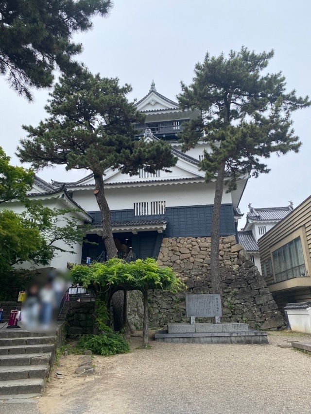 岡崎を歩いてみました。写真は木が邪魔で建物が見づらい岡崎城