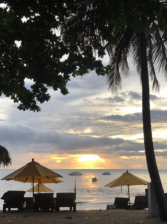 いやはや<br />前回の海外旅行は2020年2月に行った<br />タイのカオラックが最後となり<br />この3年半長かった…(°_°)<br />今回久しぶりということで<br />全力チャージしてきました♡<br /><br />サムイ島は3度目だけど、<br />・チャウエンビーチは海が綺麗で◎<br />・タイ飯好きさんにはもちろん◎<br />・マッサージ(健全な笑)好きにも◎<br />・島は大き過ぎず、小さ過ぎずのサイズ感が◎<br /><br />今回はパリピの聖地パンガン島にも<br />足を踏み入れました。<br />但し、賑やかな場所とは正反対の<br />隠れ家ビーチっぽいところへ…♡<br /><br />ではでは、ご覧くださいませ( ´ ▽ ` )ノ