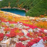 紅葉の立山黒部アルペンルート ★ 北アルプスを貫く！