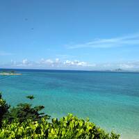 夏の終わりの沖縄旅行　～チョビンスキーがまた来たよ！その③備瀬のフクギ並木　花人逢　那覇空港～