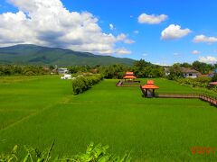 チェンマイ旅②ちょっと足を延ばしてワットドーイカム&優雅にタイ料理を楽しむ旅！