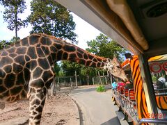 チェンマイ旅④美食と動物たちと過ごした旅の締めくくりはチェンマイサファリへ！