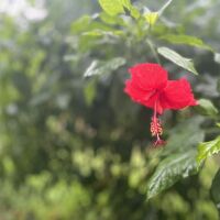 夏終わりの１０月台北ひとり旅