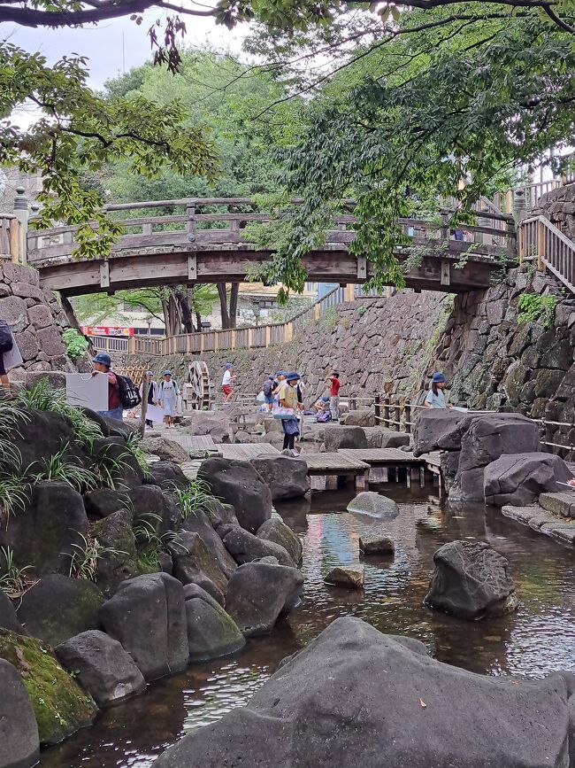 駅からハイキングで、板橋駅をスタートしました。<br />コースは<br />板橋駅→近藤勇の墓→音無くぬぎ緑地→谷津大観音→音無もみじ緑地→音無 さくら緑地→音無親水公園→醸造試験所跡地公園→西ケ原みんなの公園→染井霊園→六義園→巣鴨駅<br />距離約8キロ