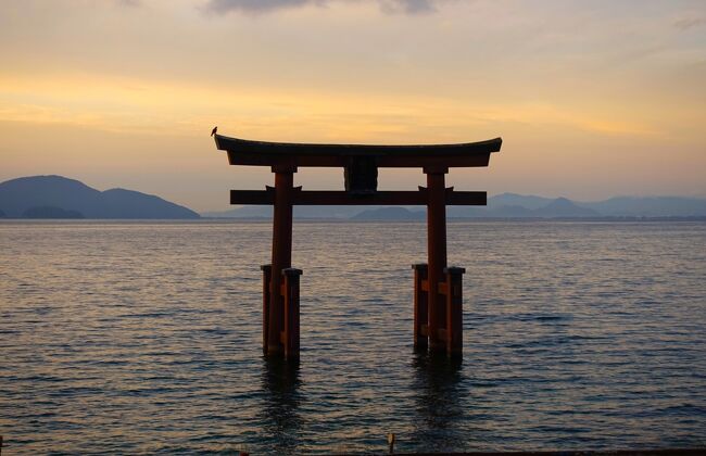 有休の月曜日、もう帰る日ですが、少なくとも午前中は自由に使えます。当初、高島市の宿を予約したのは、楊梅の滝もしくは八ツ淵の滝へ行こうと思ったからなのです。が、この夏の異常なまでの猛暑の中、ハイキングしようって気は失せました。じゃあ、どうする？場所変える？けど、宿の白髭神社無料送迎も宿泊料金と並んで魅力的。で、浮上したのがマキノ高原のメタセコイア並木です。マキノ駅でレンタサイクルを借りれば、便数の少ないバスの時刻を気にする事無く自由に動けます(炎天下に自転車漕ぐのも暑いけど)。<br />そしてタイパは悪かろうとも10万円の旅1回よりも2万5千円の旅を4回するPHOは青春18きっぷで帰ります。<br />ツレが亡くなって選択の余地の無い一人旅オンリーとなってますが、自由な一人旅が心底好きです＼(^o^)／