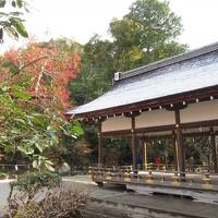 上賀茂神社と下鴨神社　202112京都⑭