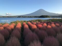 勝沼ブドウ園、富士山見たさに河口湖、ほうとう２店食べ比べ