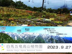 ２０２３年９月下旬　信州白馬を行く, そのⅡ " 白馬五竜高山植物園（標高１,５１５ｍ～） "！