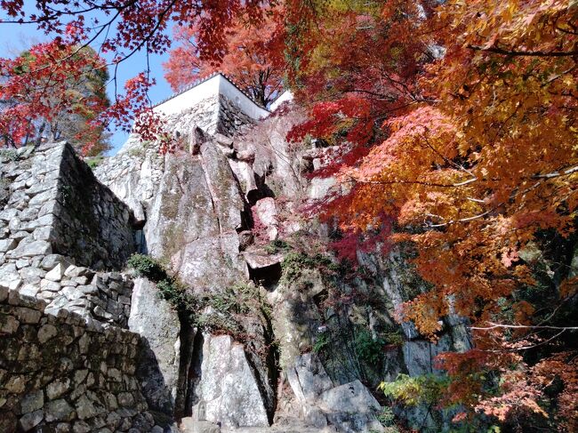 2022年11月中旬、紅葉が見ごろになった備中松山城に行きました。紅葉は大手門跡や天守閣付近がとくに見事でしたが、さらに奥のほぼ自然の森といった感じになっている大松山城跡などでも、鮮やかな紅葉が見られました。下山後に立ち寄った中洲公園や御前神社も穴場的紅葉スポットでした。