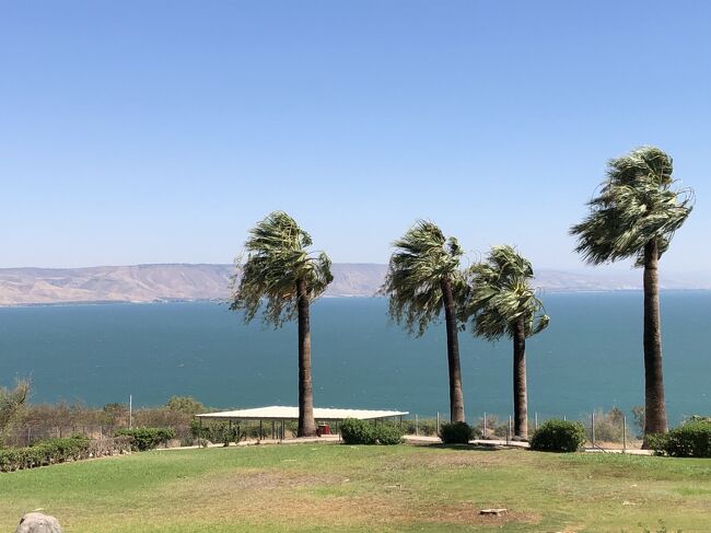 Sea of Galilee 2023 ⑧　ガリラヤ湖　2023年（Dubai～Jordan～Israel）