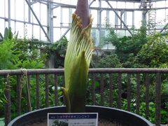 ２０２３年１０月　宇部市　ときわ公園　世界を旅する植物園とロンギヌスの槍