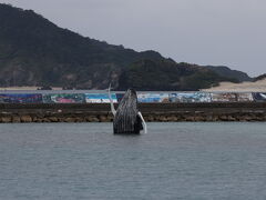 沖縄　慶良間　クジラを見たい！