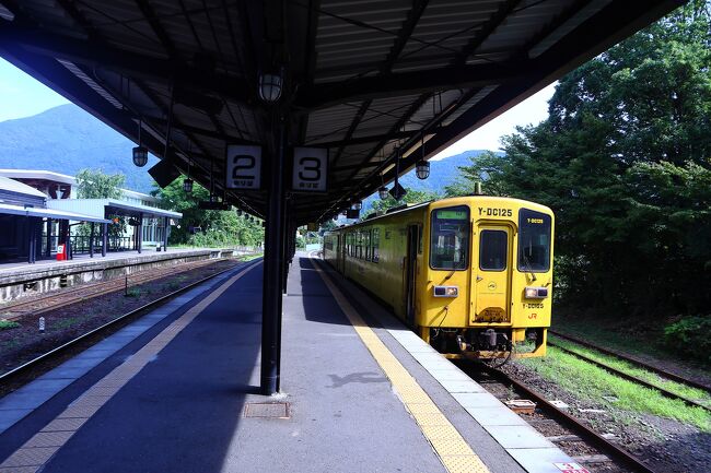 日本語が下手な韓国人の一人日本全国旅行記です<br /><br />[2023-07-28 / 一日目] - 湯布院 / 博多<br />[2023-07-29 / 二日目] - 広島<br />[2023-07-30 / 三日目] - 札幌<br />[2023-07-31 / 四日目] - 美瑛 / 富良野<br />[2023-08-01 / 五日目] - 函館<br />[2023-08-02 / &#63953;日目] - 東京<br />[2023-08-03 / 七日目] - 東京<br />[2023-08-04 / 八日目] - 東京