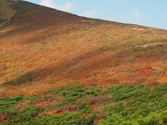 ハイキング・登山