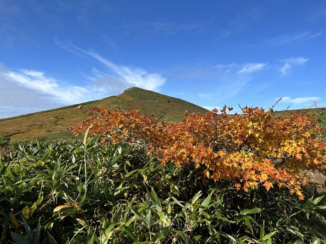 栗駒山の紅葉は神の絨毯と言われおり、1度は見てみたいと思っていました。<br />例年だとすでに落葉の時期ですが、今年は猛暑でかなり遅れて紅葉が始まり、10月の3連休に行ってきました。<br />猛暑のせいか、まだピークになっていないのか、全山が紅葉に染まる神の絨毯には程遠い出来のようですが、初めて見る者としては十分に紅葉を楽しむことができました。<br /><br />登り　東栗駒山ルート<br />下り　中央ルート<br /><br />登りに選んだ東栗駒山ルートは、東栗駒山を経由してから栗駒山に向かいます。途中沢登りをしたり、稜線歩きをしたりと山登りの醍醐味を手軽に味わえる登山道のはずでしたが、流れる水に泥と水溜まりの悪路の連続、紅葉よりも泥だらけの登山の方が思い出深いものになりました。<br /><br /><br />10/6　夕方に新幹線でくりこま高原まで　　アネックスホテルアベ泊<br />10/7　猊鼻渓の川下り　厳美渓で散策　毛越寺　中尊寺　達谷窟毘沙門堂<br />　　　喜の川で夕食　　　　　　　　　　　蔵ホテル一関泊<br />10/8　栗駒山登山　くりこま高原から新幹線で帰宅