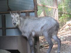 塩の道ちょうじや