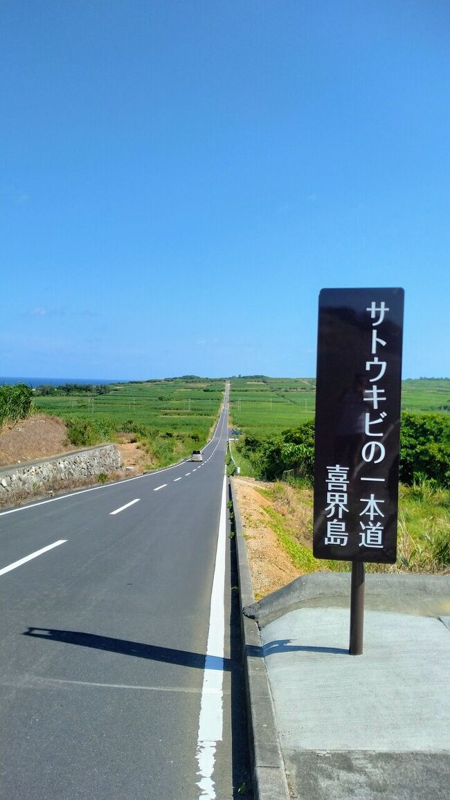 珊瑚礁が隆起してできた喜界島。今でも一年に2ミリという世界でも稀に見ぬスピードで隆起し続けているそうです。<br />そんなパワーみなぎる島をレンタサイクルを借りて一周してきました。ただ一周するだけなら２時間程ですが、観光地をジグザグ行ったりしましたので7時間半ほどかかりましたが、それでも、すべては回れませんでした。<br />観光客はそれほど多い島ではないので現地の人も観光客に優しいイメージがあり、とても観光客にとっては過ごしやすい島だなぁと。今、こういう島は少なくなってきてるので貴重ですね。<br /><br />この旅は奄美、名瀬港から夕方のフェリーで喜界島に到着し、ビジネスホテル喜界に2泊、３日目の朝早いフェリーで奄美の名瀬港に戻るという旅でした。<br />それでは、まず奄美大島の名瀬港から出港したところからスタートします。