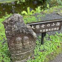 梅雨の京都一人旅1日目　大原、晴明神社