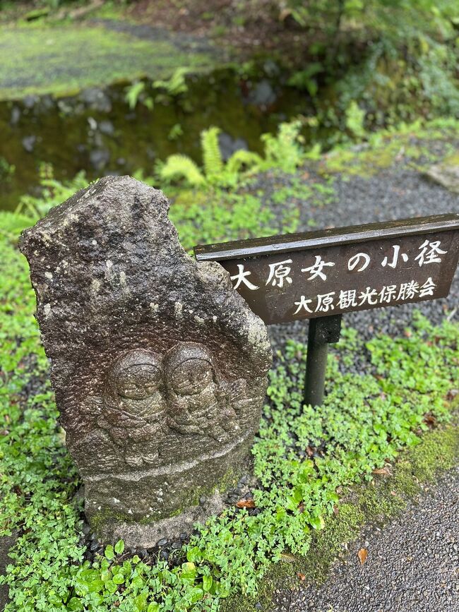 JR東海のずらし旅ツアーを利用して京都へ一人旅しました。<br />今回のざっくりとしたテーマは、平家物語に登場する女性たちの軌跡を追うこと<br />それから紫陽花と青紅葉、苔庭を見に行きます。