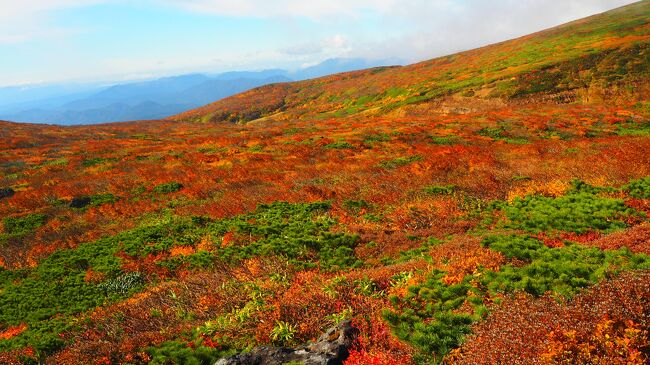 神の絨毯～今年こそ見に行きたいと思っていたが、紅葉が1週間程遅れタイミングを見計らっていた所、土曜日が天気も良く、また紅葉も見頃ということで決行！紅葉号も15日まで運行、ということで新幹線で行こうと思っていたが直前で毎日あるぺん号のツアーが予約できてそちらで決行！登山口まで行ってくれた方が楽だもんね。帰りはハイルザーム栗駒で温泉に入ってから東京へ。東京へは20:30頃到着。