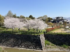 2023年3月大和郡山でお花見