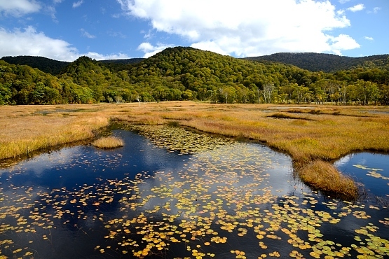 レンタカーを 群馬県の高崎で ピックアップして<br />赤城山・尾瀬・日光白根山・戦場ヶ原を歩き、<br />レンタカーを 栃木県の日光で 乗り捨てて、<br />宇都宮で 餃子を 食べる・・<br /><br /><br />今日は 朝から雨で、一日中降り続く予報だ・・・<br />夕方 ホテルにチェックインの予定だったが<br />かなり 早めに高崎駅に着いた。。。<br /><br />高崎駅の改札を抜け、とりあえずホテルに荷物を預けようと<br />西口出口へ・・・<br />階段脇の高崎ダルマの置物の壁に<br />上信電鉄・世界遺産「富岡製糸場」の文字・・・