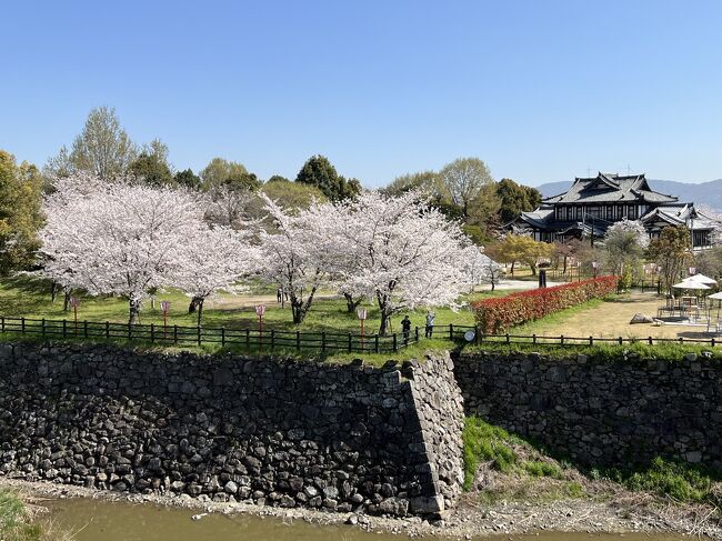 2023年のお花見は、大和郡山城跡へ。<br />金魚の街をぶらぶら