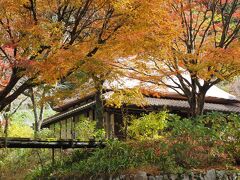 晩秋の山口ドライブ旅行　（１）重源の郷と長門峡で紅葉狩り