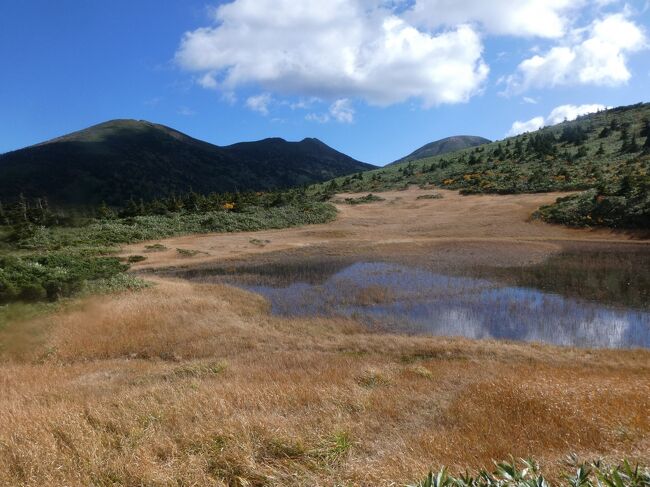 今まで行ったことがなかった都道府県、それが青森、富山。コロナが終わって、最初に踏破を目指したのが青森県でした。前日夜、青森空港着。青森市内に宿泊し、翌日からレンタカーで青森市内をスタート、八甲田山へと向かいました。例年であれば、紅葉の季節でしょうけど、今年はちょっと遅めのようで、まあまあの黄金色の風景を楽しみました。当日中にむつ市に向かう予定でしたが、少し時間があったため、酸ヶ湯温泉にも立ち寄って、巨大な混浴を楽しみました。