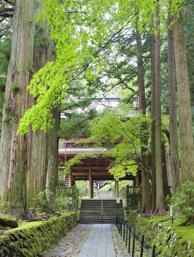 昨日、晴天のもと千畳敷カールを見れたのは良かったのですが、今日は予報通り朝から雨。何でいつも２日目は雨やねん、と嘆きながら予定変更してプランを練り直しです。ホテルの人に聞くと昨日飲んだマルスウイスキーの蒸留所がすぐ近くにあるので行ってみてはということで、行ってみることに。近くにはしだれ桜と光り苔で有名な光前寺という所がありますが、霊犬早太郎伝説というのもあってとても知りたくなり立ち寄ることにしました。その後は定番の養命酒の工場を見てからもう帰るつもりで中央自動車道を走っていると、中津川辺りでだんだん雨が小降りになって止んできた。そういえばその辺りに一度行ってみようと思っていた中山道の妻籠宿とか馬籠宿があったなあ、ということで最後には時間的に近い馬籠宿に立ち寄り帰路に着きました。<br /><br />画面のスクロールが大変なので２日目は２回に分けました。<br />２日目その１：（長野駒ヶ根）マルス信州蒸留所・光前寺・養命酒駒ケ根工場<br />２日目その２：（岐阜中津川）馬籠宿