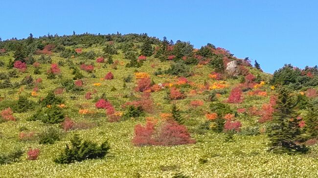 首都圏から車で行ける範囲で、この時期紅葉が楽しめる場所を探し、福島で有名な紅葉の磐梯山スカイラインに行く事にしました。やはり紅葉は例年より遅く、山肌はまだ緑が多く残っていましたが、登山口の浄土平の上では色とりどりの紅葉を見ることが出来ました。<br /><br />&lt;2023.10.11（火）&gt;<br />11:20　　　　 猪苗代湖到着<br />11:20-12:00　昼食<br />12:00-12:20　猪苗代湖からホテルへ移動<br />12:42-12:52　路線バスで「裏磐梯高原駅」へ移動<br />13:00-15:00　五色沼ハイキング<br />15:00-15:30　裏磐梯ロープウェイへ移動<br />16:00-16:30　「裏磐梯 DAIWA ROYAL HOTEL」へ移動<br />18:00-　　　　 夕食<br />-------<br /><br /><br />&lt;2023.10.12（水）&gt;<br />08:40-09:40　磐梯吾妻スカイラインへ移動<br />                     浄土平ビジターセンターで登山ルートを確認<br />10:00-13:00　鎌沼へハイキング<br />13:30-14:10　吾妻小富士へハイキング<br />14:20-15:00　レストランで休憩<br />15:00　　　　浄土平出発<br />