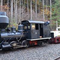 木曽路③　赤沢自然休養林で森林鉄道に乗車、森林浴散歩でセラピー完了？！