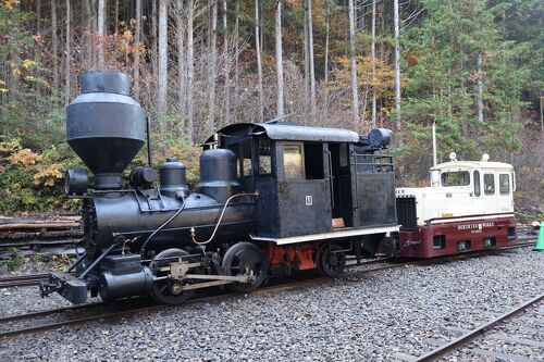 木曽路③ 赤沢自然休養林で森林鉄道に乗車、森林浴散歩で