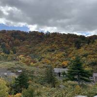 玉川温泉に行く