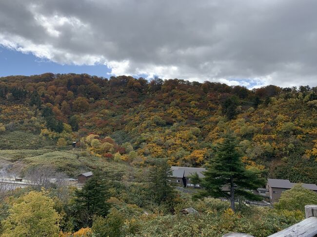 出張で、新玉川温泉に行くことになり、久しぶりに玉川温泉の散策路を歩いてきました。<br /><br />八幡平の紅葉は、見頃で、玉川温泉付近には、あと数日で紅葉見頃前線が降りてくるようです。