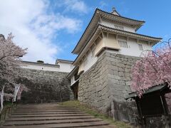 桜満開の霞ヶ城公園を散策して杉乃家で「なみえ焼そば」を食べてきました