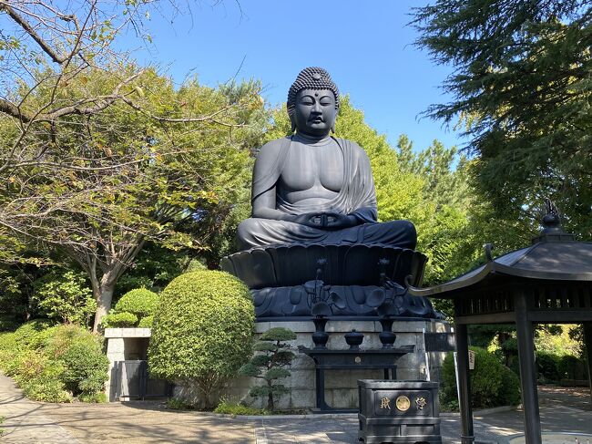 前日に引きついての外出。<br />この日は板橋区の赤塚、高島平を歩いてきました。