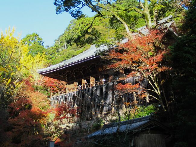 姫路には2ヶ月前にもツアーで来ているのですが、その時の滞在はわずか120分。<br />お城をざっとかすっただけで、周辺観光地も姫路グルメも素通り状態でした。<br /><br />で、今回、11月に一番雲海が発生しやすい備中松山城に来たついでに、丁度紅葉時季の「好古園」「書寫山圓教寺」「西の丸」、そして「あなご飯」などの姫路グルメをリベンジしました。<br />ここでは、その中でも紅葉の名所「書寫山圓教寺」の探訪記です。<br /><br />ロープウェイで上った先のお寺なので姫路城よりも若干紅葉は早く、11/27ではちょっと遅かったかな~という感じでした。<br />又、日曜日とピーカンが重なり、駐車場待ちのマイカーの大渋滞に嵌り帰りのバスは超遅れてやって来ました。