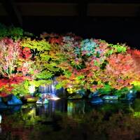 姫路城を望む日本庭園「好古園」の紅葉&#127809;ライトアップ　2022/11/27～28