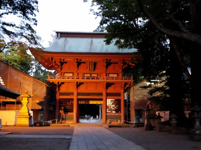 両親を温泉旅行に連れて行く旅行第2弾です。 第1弾は、草津旅行でしたが、今回は潮来温泉にしました。<br /><br />ちょうど、コキアの季節だったので、ひたちなか市の海浜公園へ行って、コキアとコスモスを見てもらいました。 <br /><br />あんこう鍋も食べて、帰りには成田さんに寄って参拝し、うなぎを食べておいしい旅行になりました。<br /><br /><br />鹿島神宮に向かう途中、大洗磯前神社に寄りました。 ランチもあんこう鍋を近くのお店で食べて、おいしい旅行。