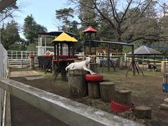 バラ園