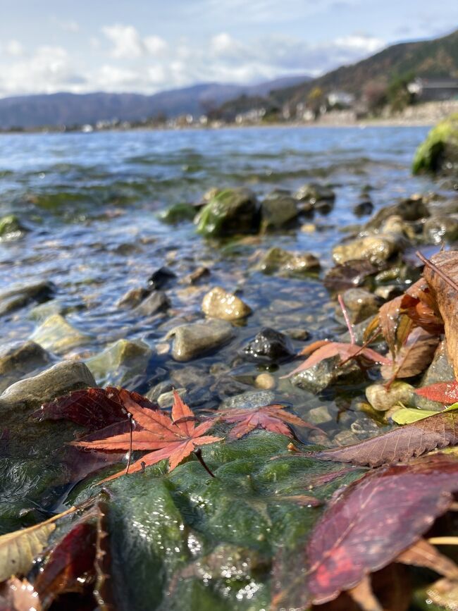 琵琶湖畔を紅葉とともにめぐるため<br />滋賀県の高島市に宿を取りました。<br /><br />早朝からメタセコイア並木へ。<br />白髭神社を参拝した後は<br />びわ湖テラスから琵琶湖を眺めます。