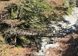 ⑫マダムの全国旅行支援で巡る四国名所＆秘境めぐり　３日目の２　祖谷のかずら橋