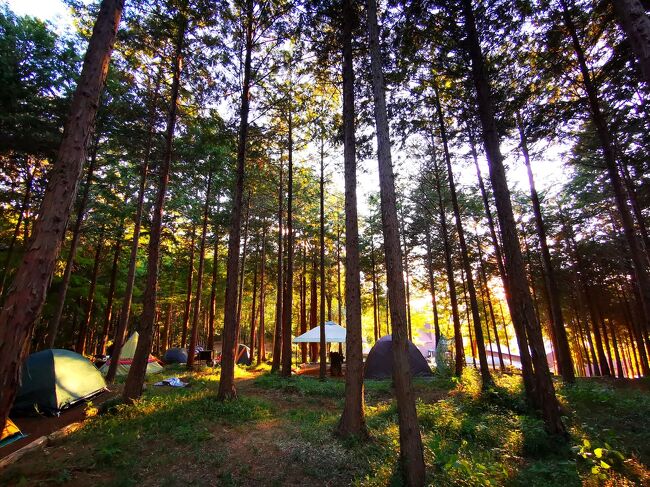 佐野の奈良渕316へ日帰りバーベキューへ行ってきました。都内から近い場所で森の中のキャンプ・バーベキュー体験ができ、癒された休日です。